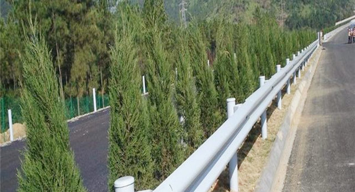 波形護(hù)欄板、鄉(xiāng)村道路護(hù)欄、單波護(hù)欄板世騰加工定制